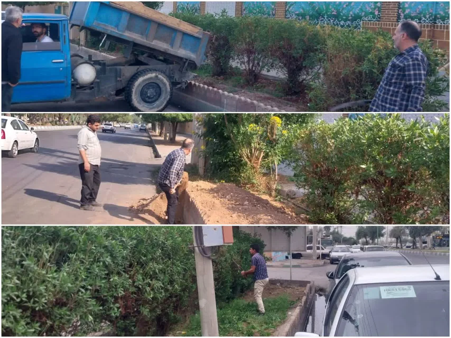 🪴گزارش زیباسازی باغچه ورودی دانشگاه